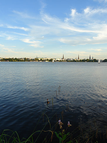 Foto Außenalster Panorama - Hamburg