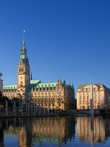 Foto Rathaus - Hamburg