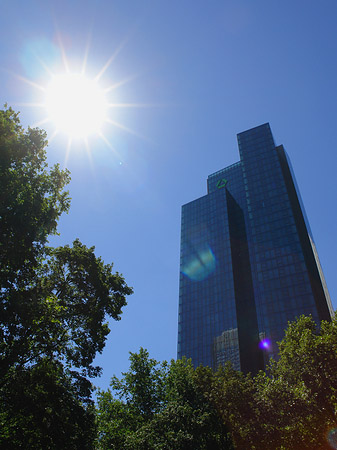 Fotos Sonne strahlt die Dresdner Bank an | Frankfurt am Main