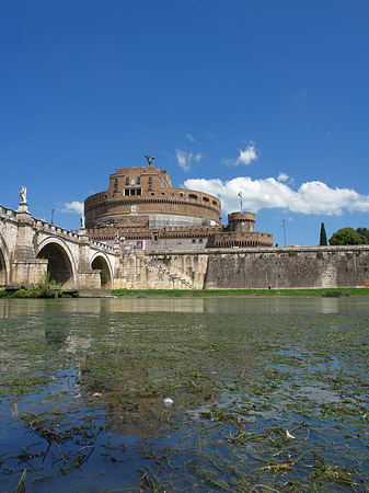 Tiber