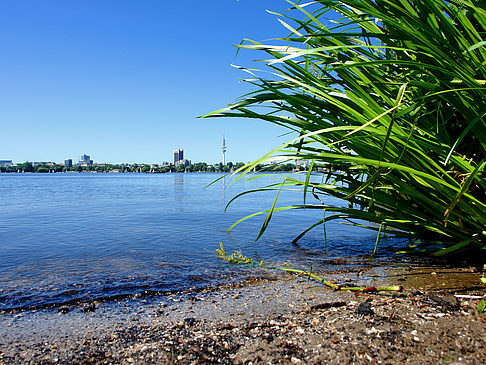 Fotos Badestrand an der Außenalster | Hamburg