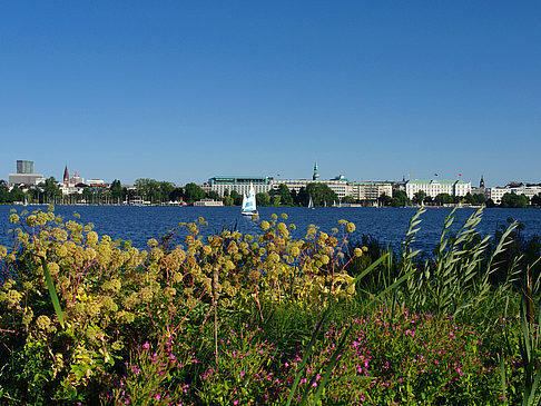 Foto Blick nach Osten von der Außenalster - Hamburg