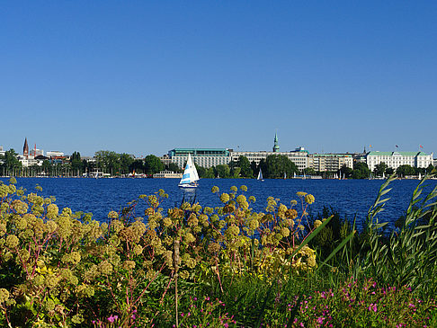 Foto Blick nach Osten von der Außenalster