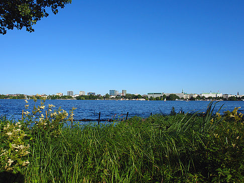 Fotos Blick nach Osten von der Außenalster | Hamburg