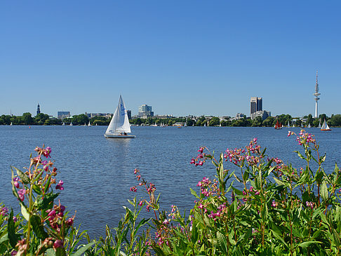 Fotos Segeln auf der Außenalster