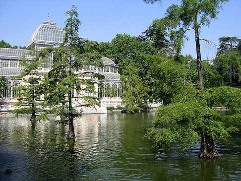 Foto Palacio de Cristal - Madrid