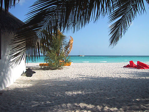 Fotos Der weiße Sandstrand der Malediven