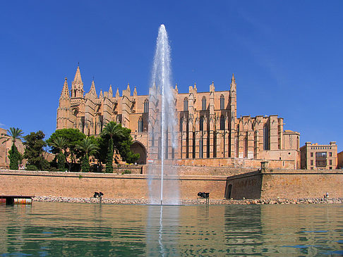 Foto Die Kathedrale - Palma de Maljorka