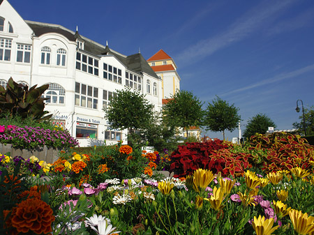 Foto Seebrücke Binz