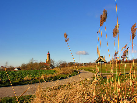 Foto Turm aus der Ferne - 