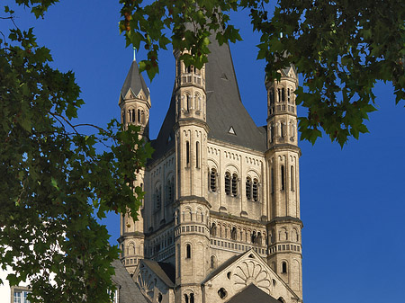 Foto Groß St.Martin hinter Baum - Köln