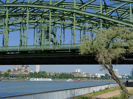 Hohenzollernbrücke mit Baum Fotos