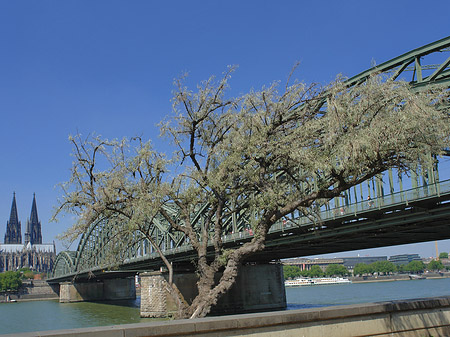 Foto Hohenzollernbrücke am Kölner Dom