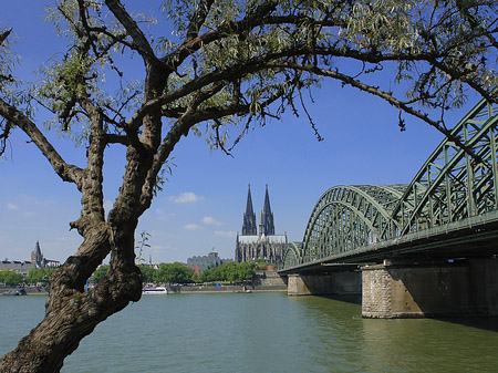 Fotos Hohenzollernbrücke am Kölner Dom | Köln