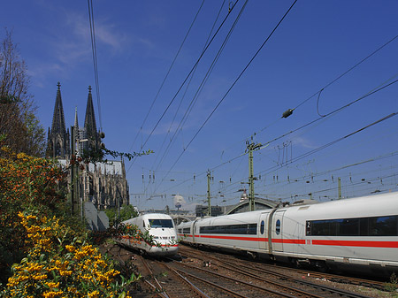 Foto Kölner Dom mit ICE - Köln