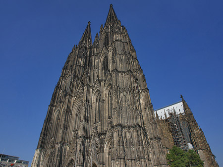 Westfassade des Kölner Doms Foto 