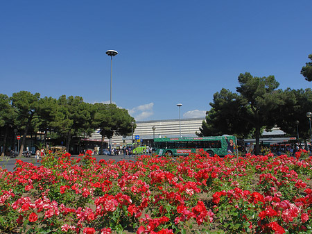 Blumen am Bahnhof Foto 