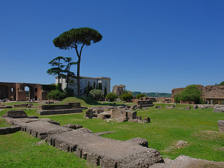 Foto Domus Augustana und das Museo Palatino - Rom