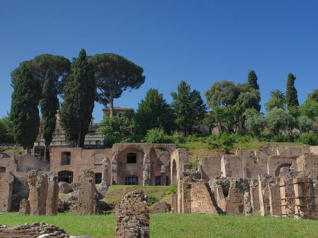 Foto Forum Romanum