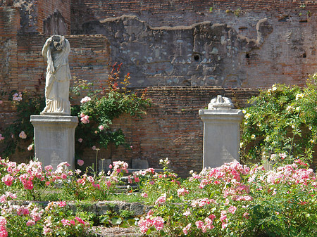 Fotos Tempel der Vesta | Rom