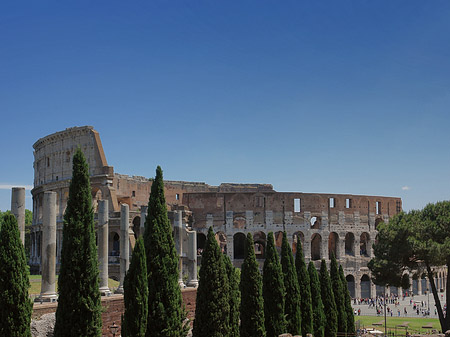 Fotos Kolosseum mit dem Forum Romanum | Rom