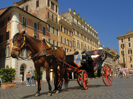 Pferdekutsche auf der Piazza die Spagna Foto 