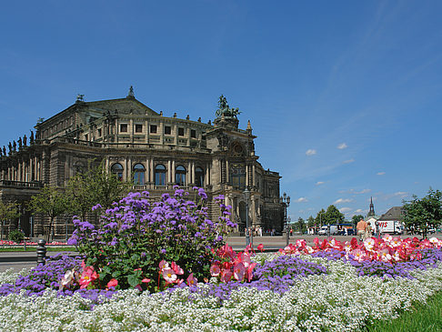 Fotos Semperoper mit Blumen