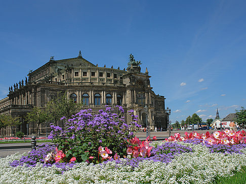 Semperoper mit Blumen Foto 