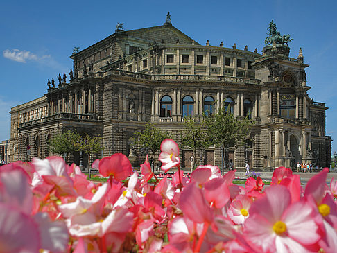 Semperoper mit Blumen Foto 