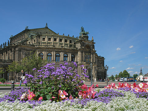 Semperoper mit Blumen Foto 